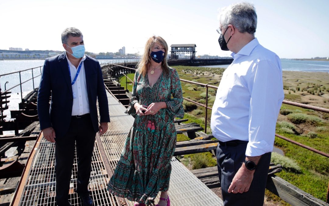 Cinco empresas aspiran a ejecutar las obras del proyecto de rehabilitación del Muelle de Tharsis