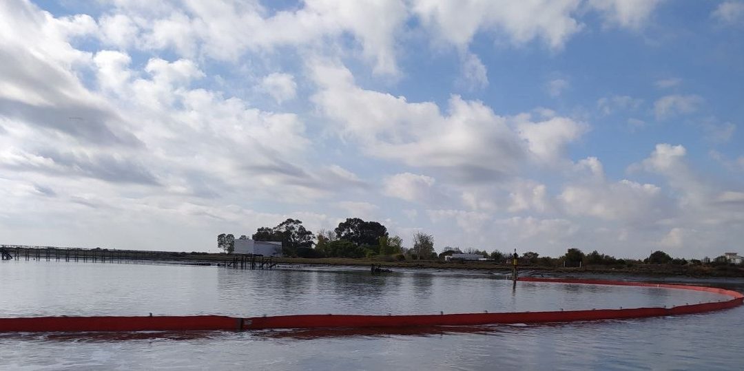 El Puerto de Huelva realiza un ejercicio de simulacro de contaminación marina