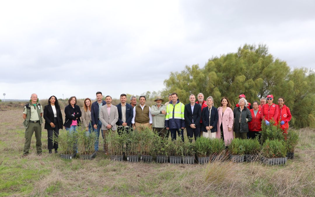 La Junta y el Puerto de Huelva plantan 680 árboles en Marismas del Odiel por la colaboración con la Gañafote Cup