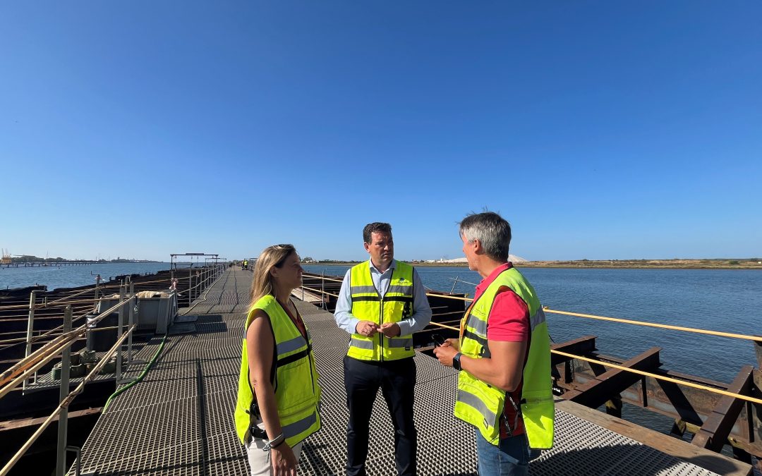 El Puerto de Huelva prevé finalizar las obras de restauración del Muelle de Tharsis antes de que culmine el año